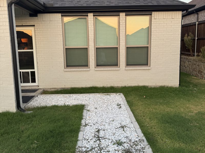 Backyard before: grass and a gravel path